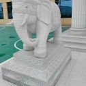 新余 白麻花岗岩动物异形石雕-大象