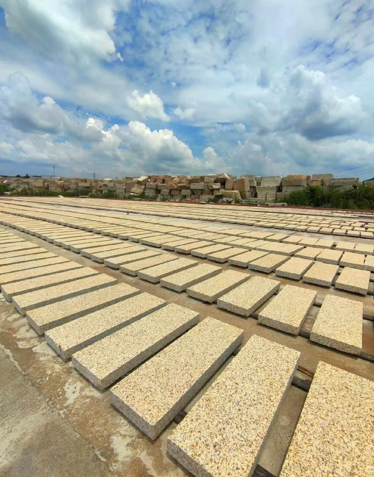 新余 黄金麻荔枝面花岗岩石材地铺石防护中