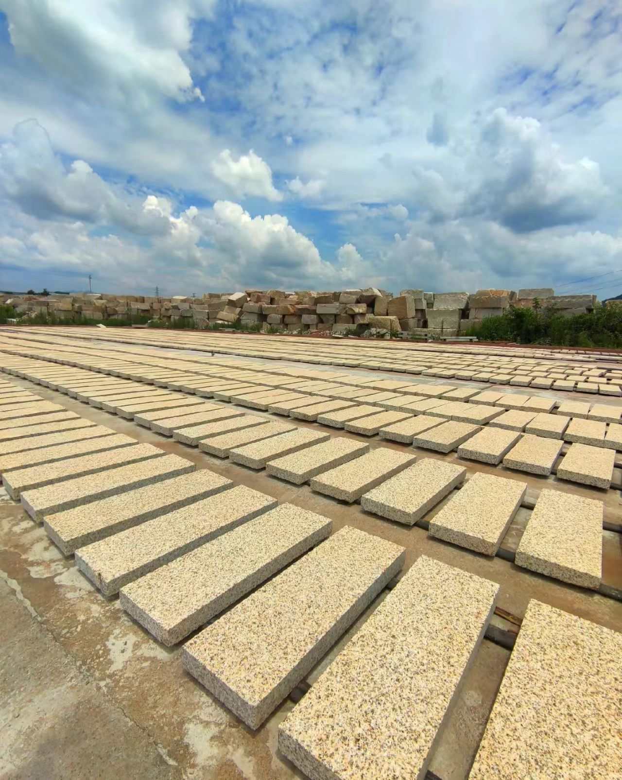 新余 黄金麻花岗岩荔枝面地铺石防护中