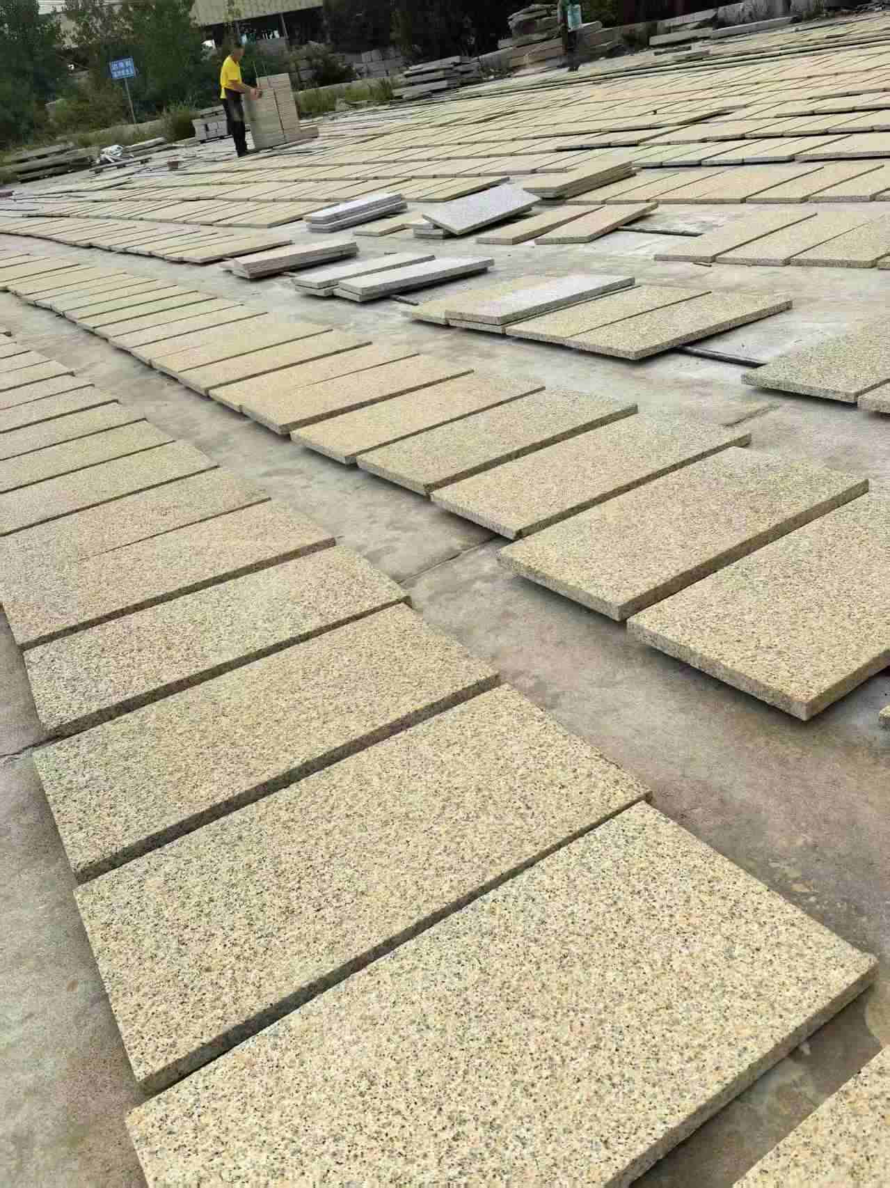 新余 黄金麻荔枝地铺石面排板