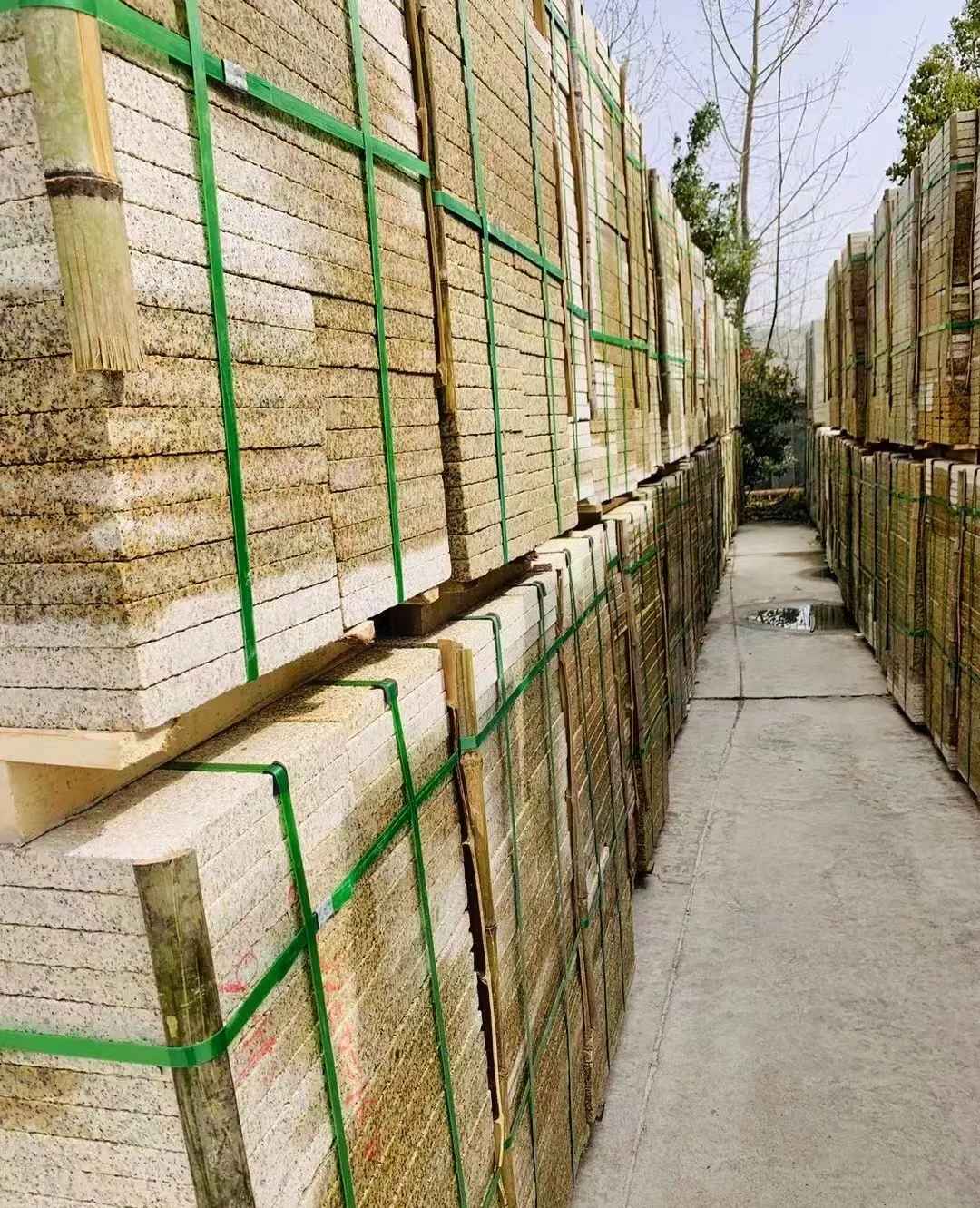 新余 黄金麻花岗岩荔枝面地铺石